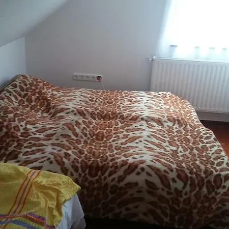 Rozsa Ueduelohaz * Tiszafüred