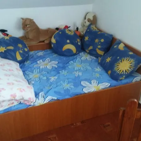 Rozsa Ueduelohaz Apartment *