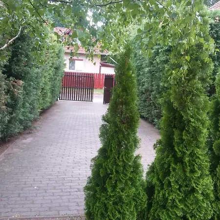 Rozsa Ueduelohaz Apartment *